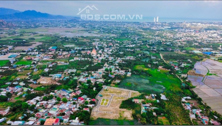 Bán nhanh lô đất 100m2, MT 5m giá 998 triệu ngay kDC Tân Hội gần đường Thống Nhất TP. Phan Rang